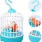Electric Talking & Singing Birds ( UAE Delivery Time: 1-3 Days )